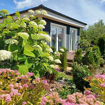 Вилла Family Garden House With Free Private Parking & Playground Рига Экстерьер фото
